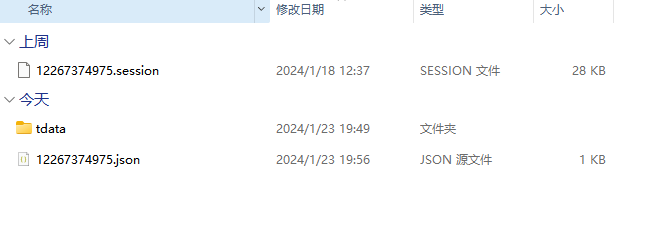找到 tdata 文件夹